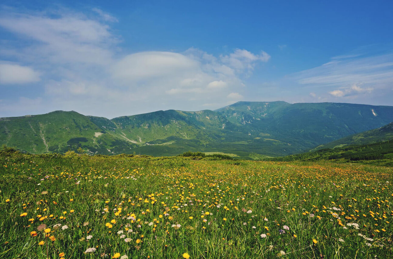 summer-landscape-mountains-dark-blue-sky
